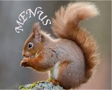 menu ecureuil.jpg