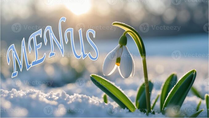 PERCE NEIGE MENUS.jpg