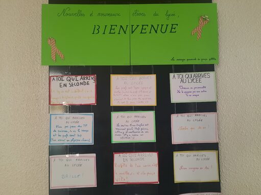Affichage réalisé par les élèves Sentinelles de 1ère et Tle