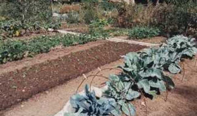 image0000031.jpg