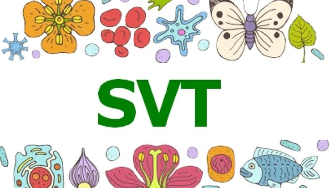 svt.jpg